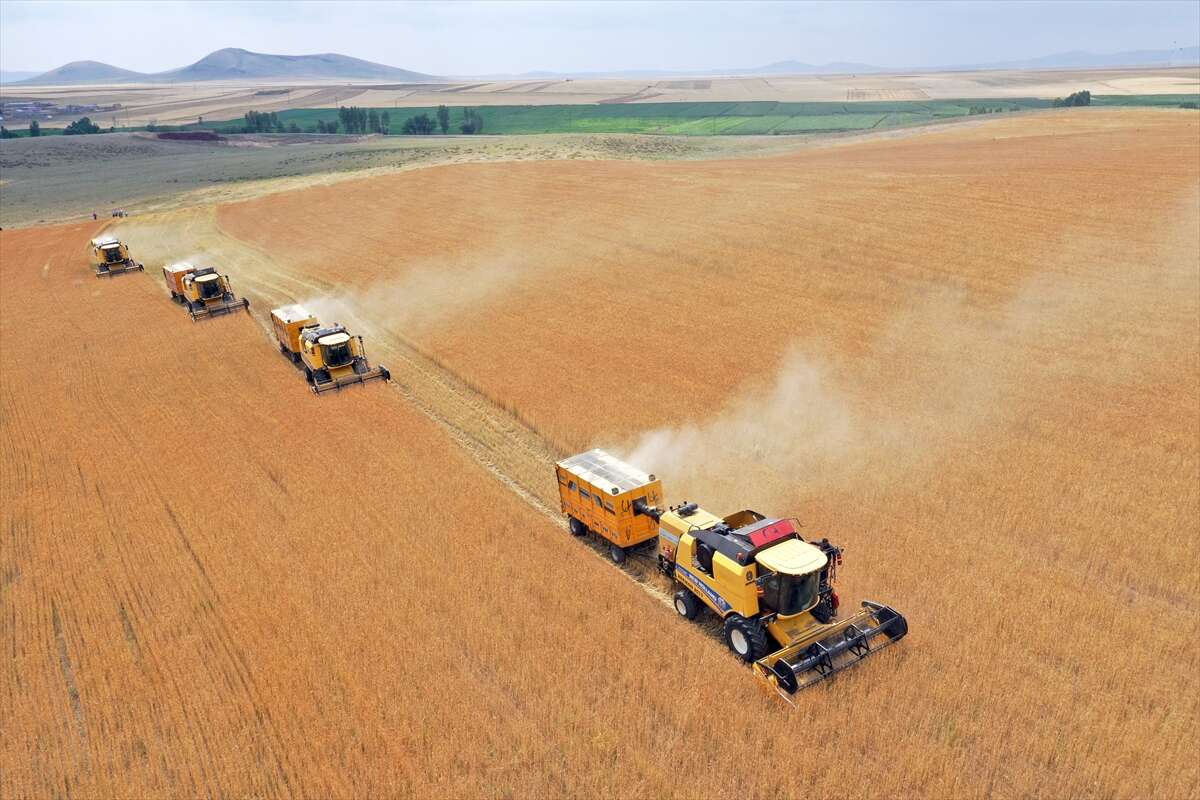 Taner bu yıl çiftçinin cebini dolduracak 2
